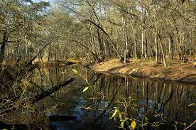 Canoochee River