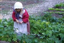 child in garden