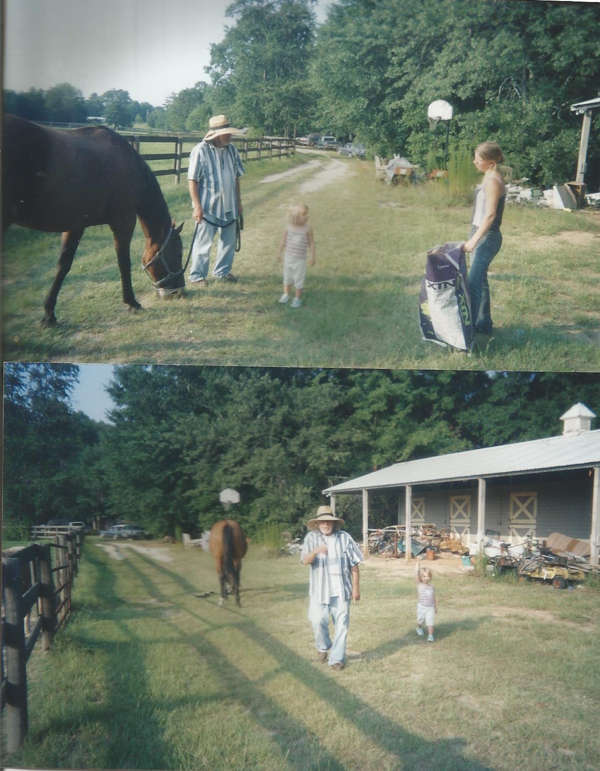 Charing Farm of Gerald Stucki