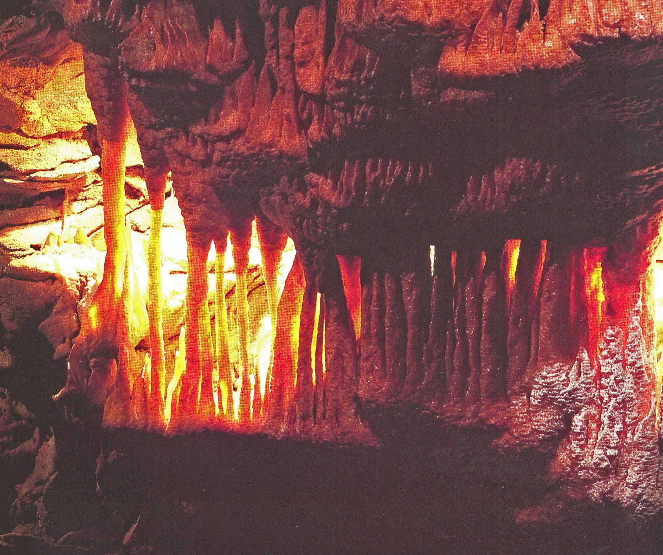  Mammoth Cave