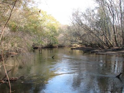 Ogeechee River