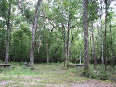 Ogeechee River