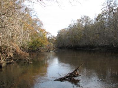 Ogeechee River