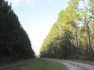 Old Post Road