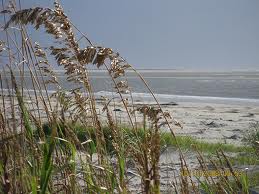 St. Catherines Island