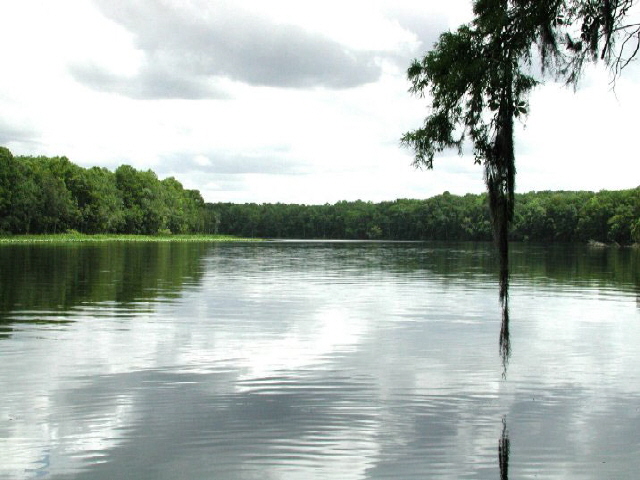 Suwanee River