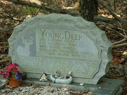 Young Deer Burial
