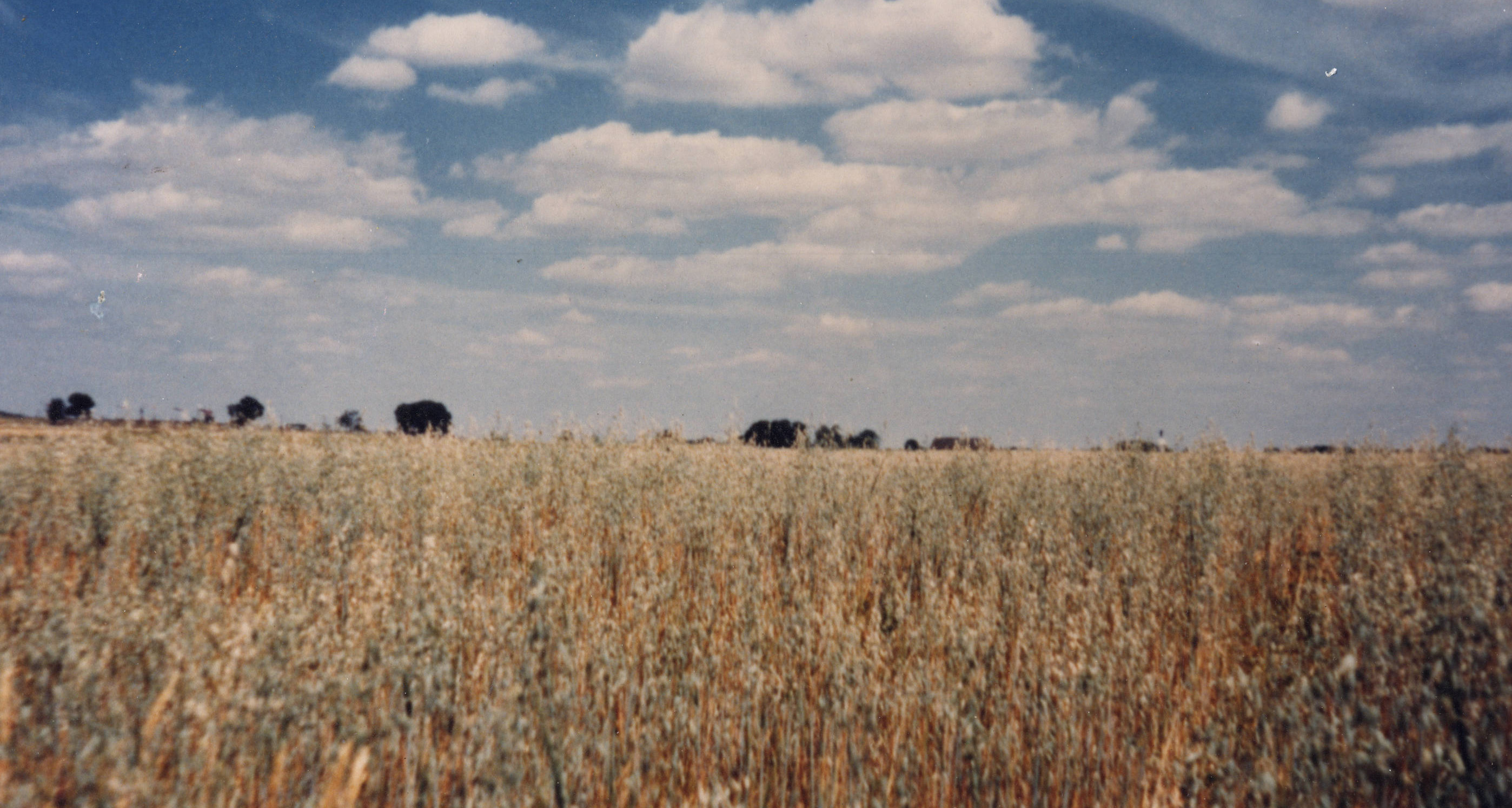 Gettysburg